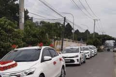 Taxi Long Sơn đồng hành cùng ngày vui của Quý khách